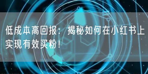 低成本高回报：揭秘如何在小红书上实现有效买粉！