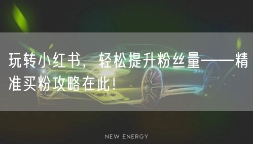玩转小红书，轻松提升粉丝量——精准买粉攻略在此！
