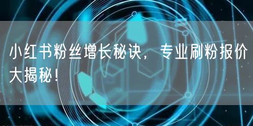 小红书粉丝增长秘诀，专业刷粉报价大揭秘！