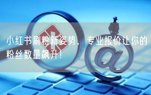 小红书刷粉新姿势，专业报价让你的粉丝数量飙升！