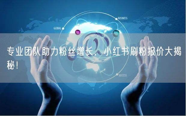 专业团队助力粉丝增长，小红书刷粉报价大揭秘！