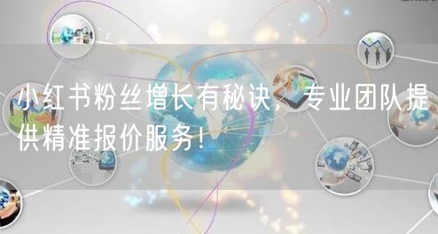 小红书粉丝增长有秘诀，专业团队提供精准报价服务！