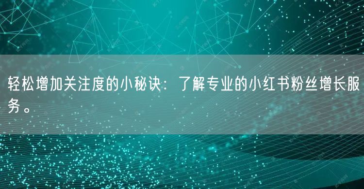 轻松增加关注度的小秘诀：了解专业的小红书粉丝增长服务。