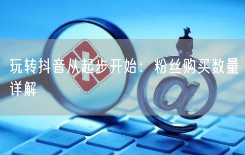 玩转抖音从起步开始：粉丝购买数量详解