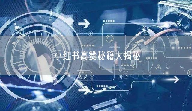 小红书高赞秘籍大揭秘