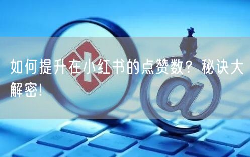 如何提升在小红书的点赞数？秘诀大解密!