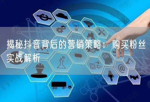 揭秘抖音背后的营销策略：购买粉丝实战解析