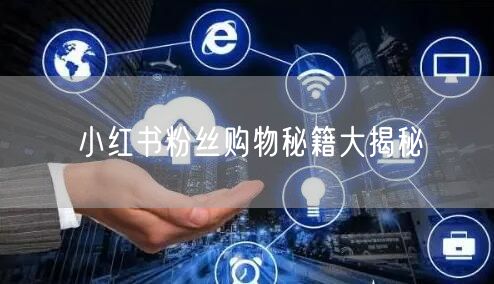 小红书粉丝购物秘籍大揭秘