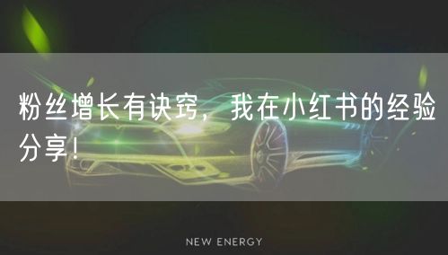 粉丝增长有诀窍，我在小红书的经验分享！