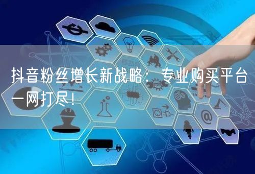 抖音粉丝增长新战略：专业购买平台一网打尽！