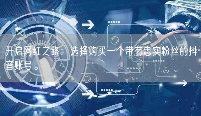 开启网红之路：选择购买一个带有忠实粉丝的抖音账号。