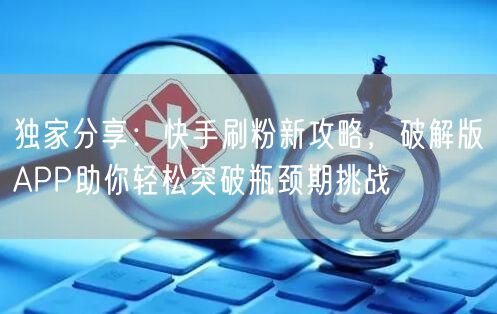 独家分享：快手刷粉新攻略，破解版APP助你轻松突破瓶颈期挑战