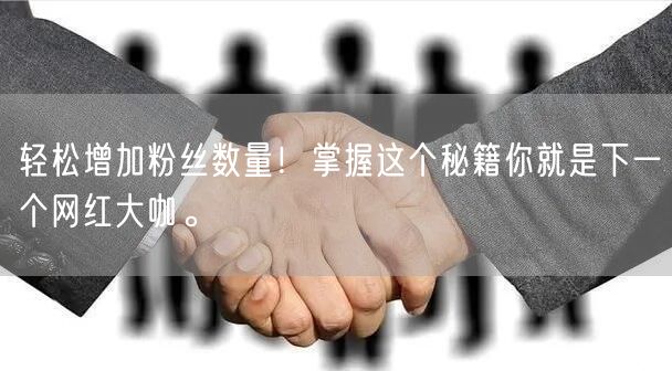 轻松增加粉丝数量！掌握这个秘籍你就是下一个网红大咖。