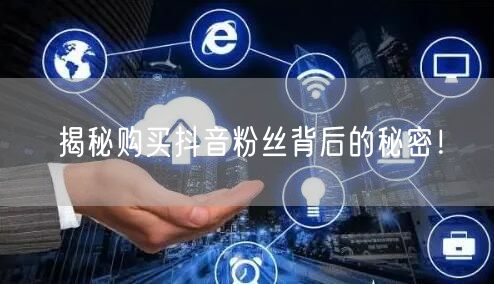 揭秘购买抖音粉丝背后的秘密！