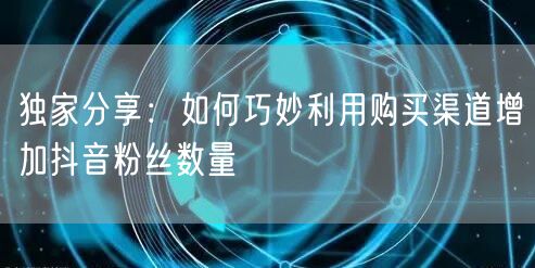 独家分享：如何巧妙利用购买渠道增加抖音粉丝数量