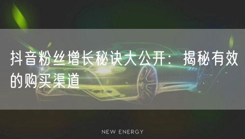 抖音粉丝增长秘诀大公开：揭秘有效的购买渠道