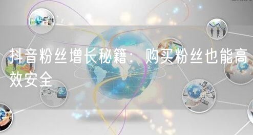 抖音粉丝增长秘籍：购买粉丝也能高效安全