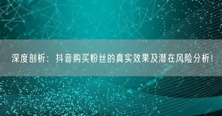 深度剖析：抖音购买粉丝的真实效果及潜在风险分析！