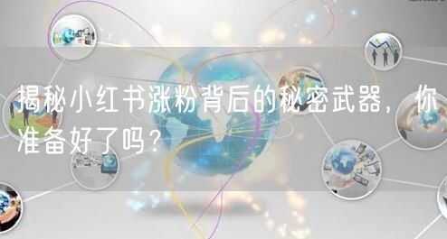 揭秘小红书涨粉背后的秘密武器，你准备好了吗？