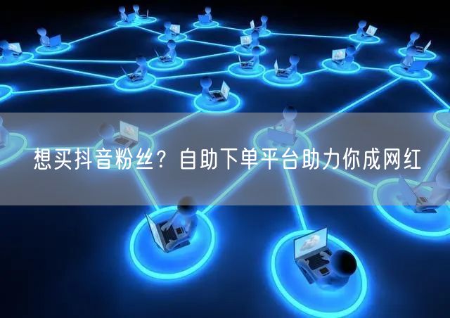 想买抖音粉丝？自助下单平台助力你成网红