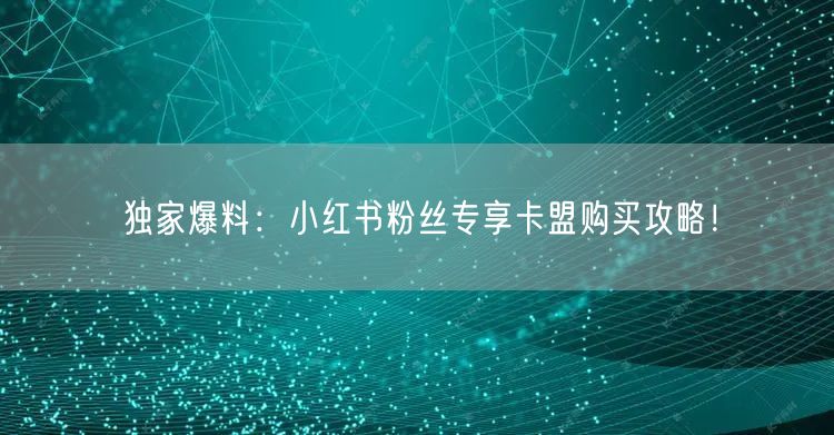 独家爆料：小红书粉丝专享卡盟购买攻略！