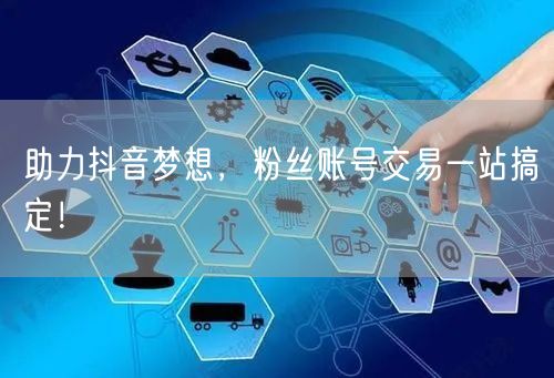 助力抖音梦想，粉丝账号交易一站搞定！