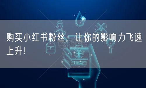 购买小红书粉丝，让你的影响力飞速上升！