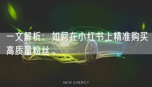 一文解析：如何在小红书上精准购买高质量粉丝。