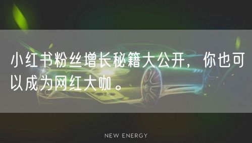 小红书粉丝增长秘籍大公开，你也可以成为网红大咖。