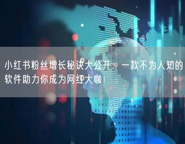 小红书粉丝增长秘诀大公开：一款不为人知的软件助力你成为网红大咖！