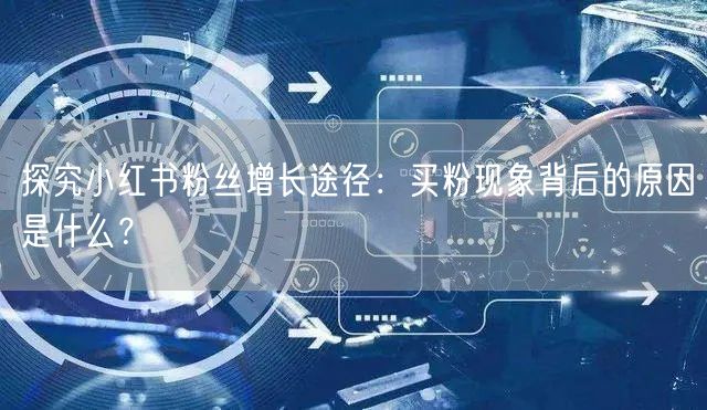 探究小红书粉丝增长途径：买粉现象背后的原因是什么？