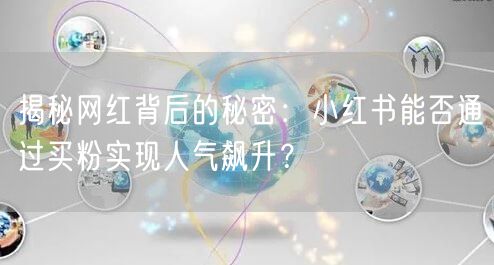 揭秘网红背后的秘密：小红书能否通过买粉实现人气飙升？