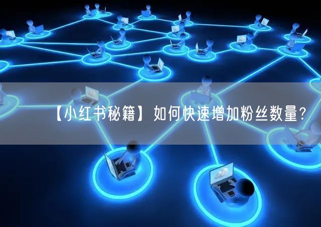 【小红书秘籍】如何快速增加粉丝数量？