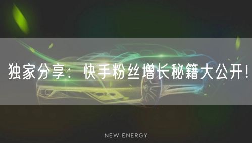 独家分享：快手粉丝增长秘籍大公开！