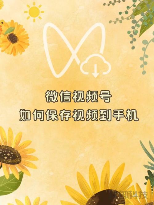 **微信小程序视频下载全攻略：轻松获取视频资源，操作指南及深度解析**